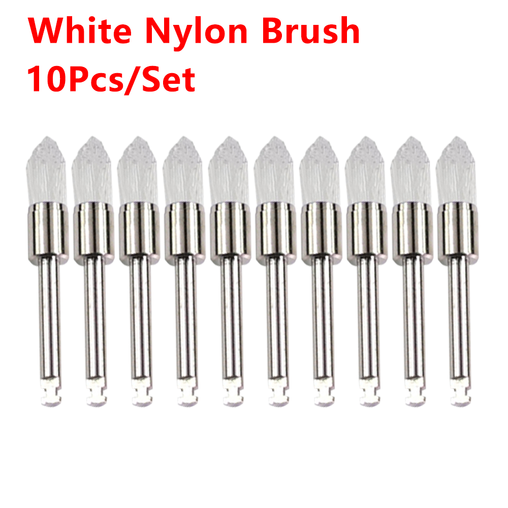 Pulidor Dental desechable, cepillo de cerdas de nailon, herramientas de dentista, taza pulidora, blanqueamiento Dental, cepillos de profilía, 10 unids/lote por caja: orange