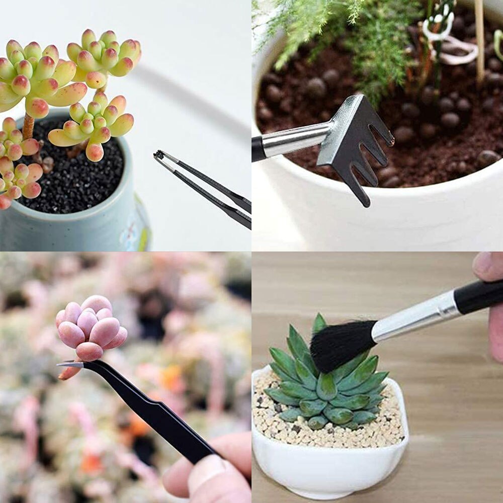 Saftige planter verktøy mini hage håndverktøy sett transplanteringsverktøy miniatyr planting hagearbeid sett for innendørs miniatyr