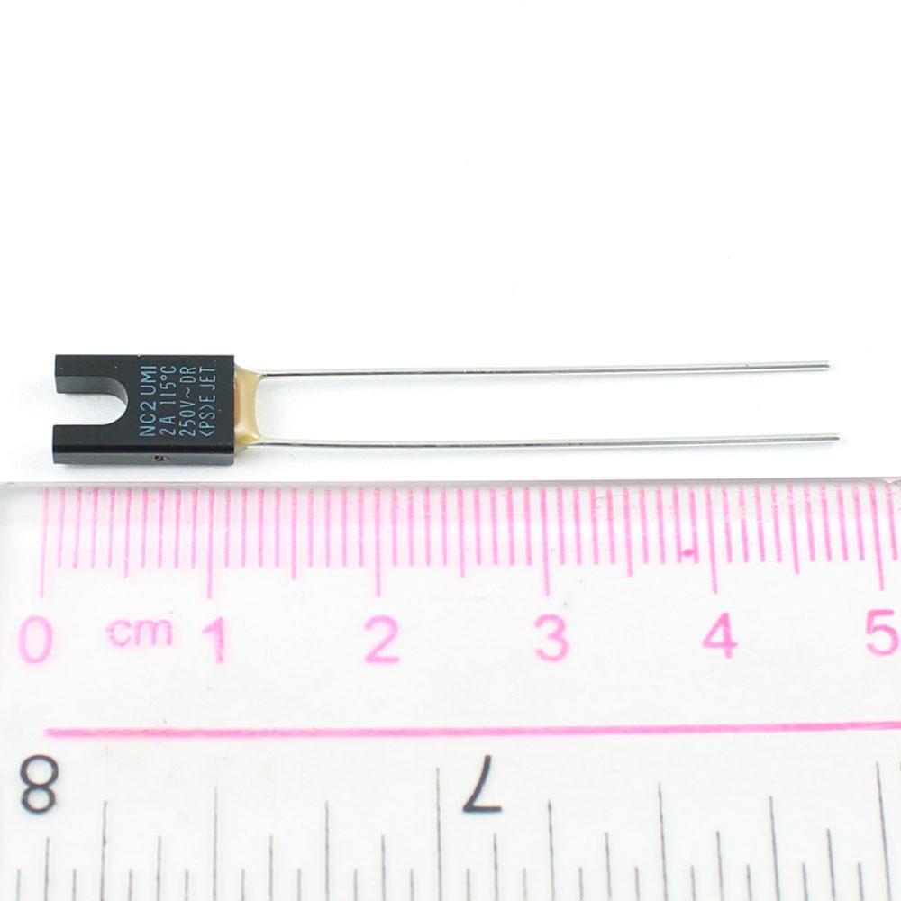 Thermische Trennsicherung 2A / 250V – 117°C, 2-Pin, P110A