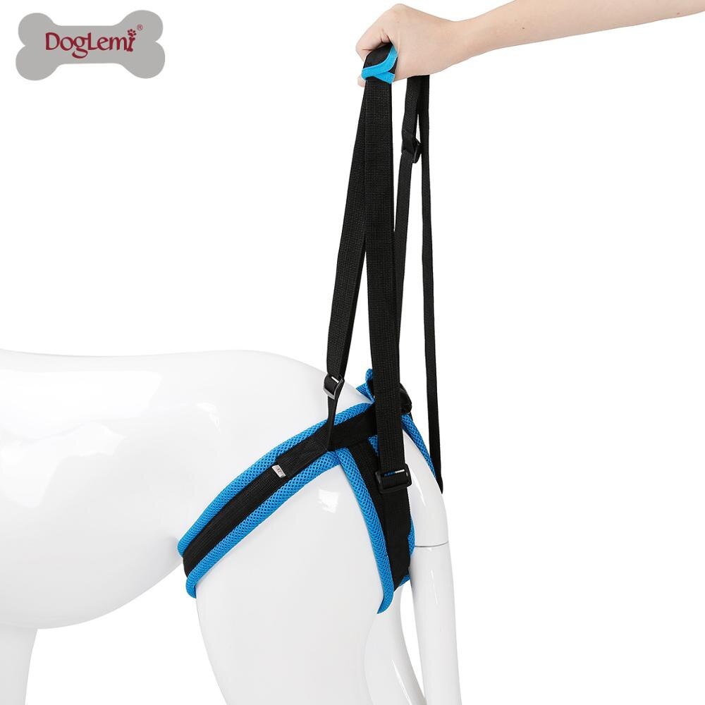 Harnais de levage réglable pour chien, pour les pattes arrière, Support pour animaux de compagnie, écharpe pour les jambes faibles, outil d'assistance pour les chiens