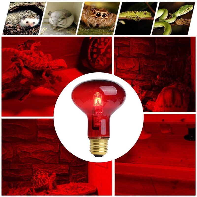 Luz infrarroja para Reptiles, lámpara de calor para Reptiles anfibios, bombillas de dragón barbudo, 40/60W, 2 uds.