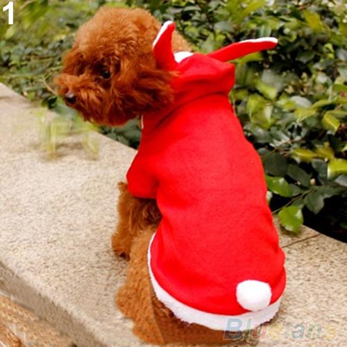 Moda macia cão de estimação adorável hoodie roupas coelho inverno quente filhote de cachorro trajes vestuário suprimentos do cão confortável de usar: Red XS
