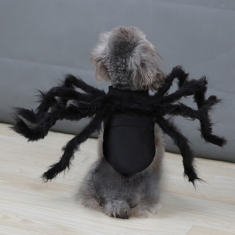 Costume d&#39;araignée pour chien et chat, vêtements pour animaux de compagnie, déguisement d&#39;halloween, fête de noël, accessoires pour animaux de compagnie, 2022