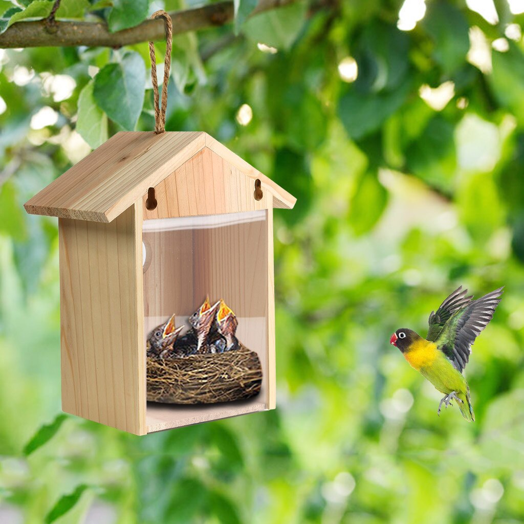 Træ fuglehus rede udendørs sugekop synlig fugl hjem have vindue fuglehus hængende dekoration håndværk  #yl10