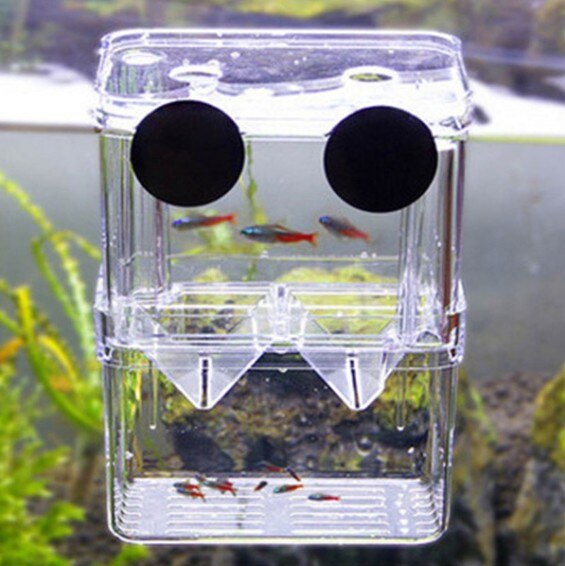 Tanque de peces para bebés, aislamiento Betta, fry, ovipositor, peces tropicales, caja incubadora acrílica