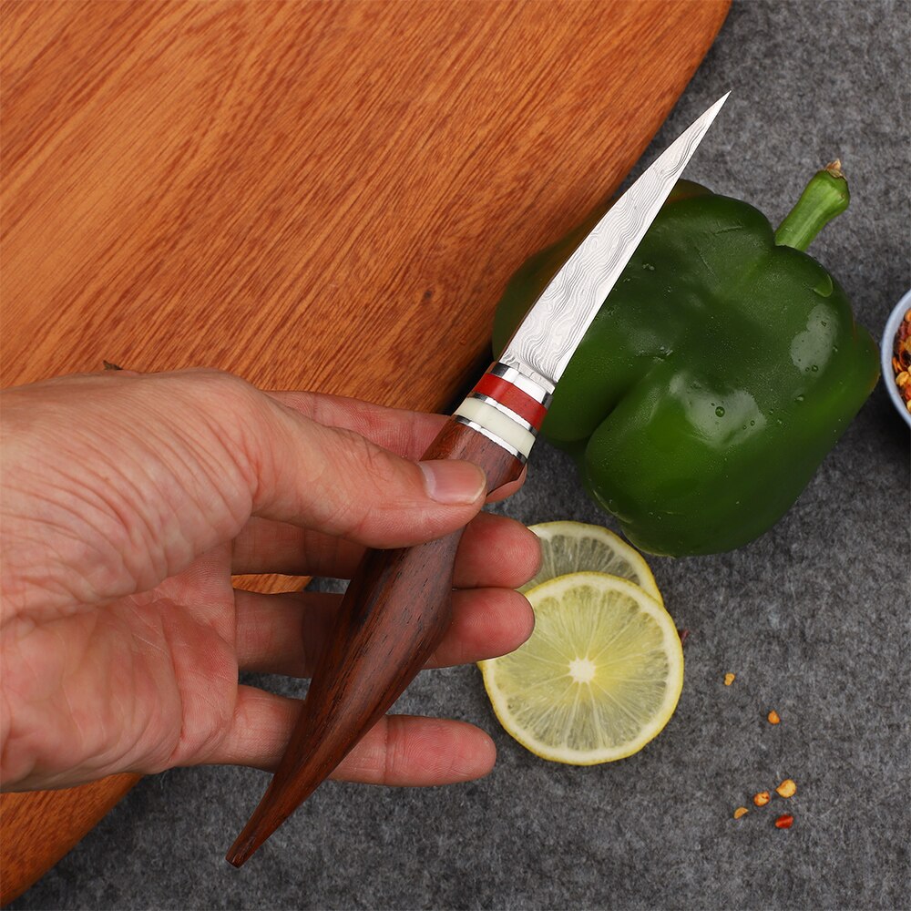 Handmade Chef VG10 Damascus Steel Plate Multifunctional Kitchen Carving