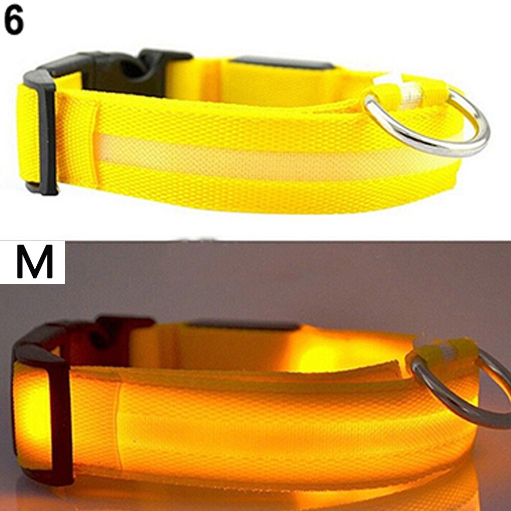 Led Veiligheid Halsband + 2 Batterijen Oplichten Huisdier Kraag Verstelbare Nylon Knippert Lichtgevende Ketting Puppy Anti-Verloren levert: Yellow M