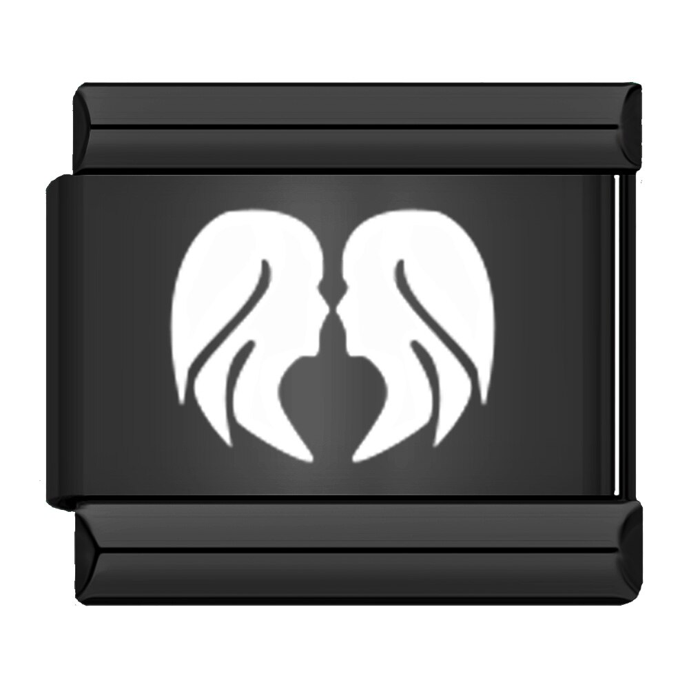 Hapiship-abalorios originales de margaritas negras para pulsera, eslabones de 9mm, joyería de acero inoxidable, DJ353, 1 ud.: Gemini
