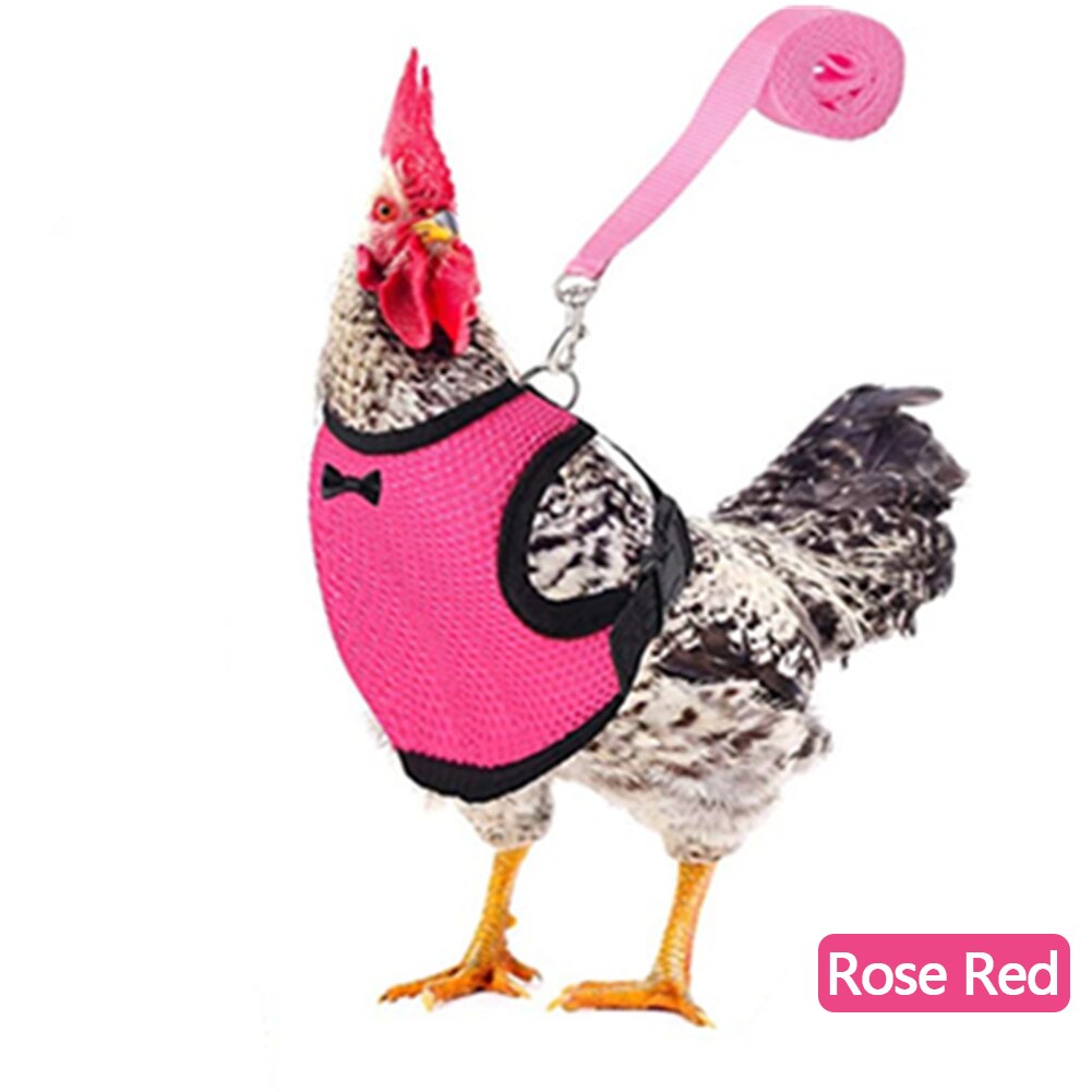 Breathable Mesh Chicken Duck Vest Leashes Poultry Hen Pet Harness With Matching Training for Walking Duck Goose Hen Rooster: Rose Red-XS