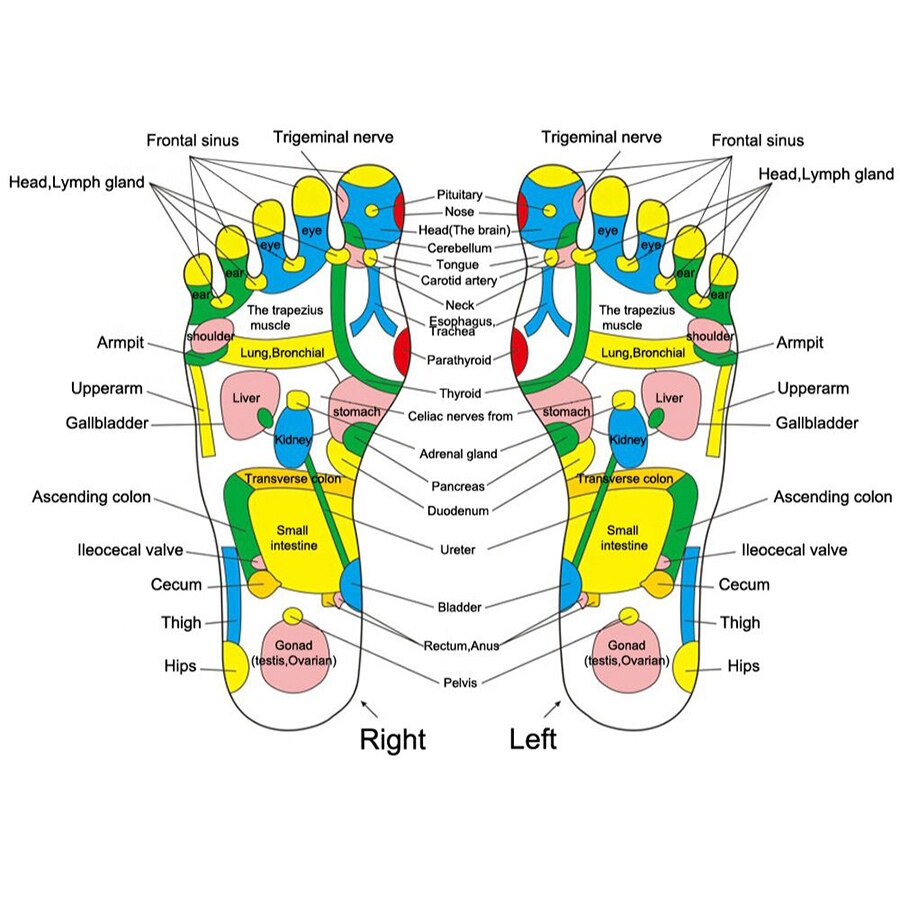 Reflexologie Walk Stone Acupunt Massage Pad Voet Been Pijn Verlichten Relief Lopen Massager Mat Gezondheidszorg Acupressuur Mat