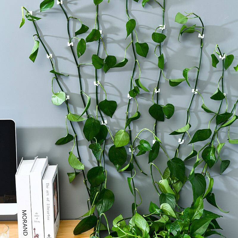 Plant Climbing Wall Clip Invisible Wall Vines Fixture Wall Sticky Hook Holder Plant Cages Plant Supports Clip Vine Clip