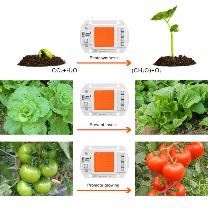 Led grow cob chip fyto lampa fullt spektrum  ac220v 110v 10w 20w 30w 50w för inomhusplantor plantor växa och blomma tillväxt fitolamp