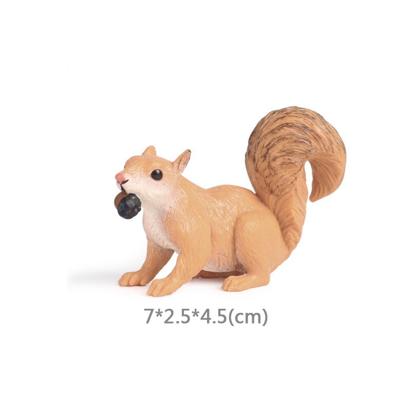 Wild Jungle Zoo Animal Model Malayan Tapir Anteater Koala Pangolin PVC Collection Model Action Figure Kid Educational Toys: Squirrel