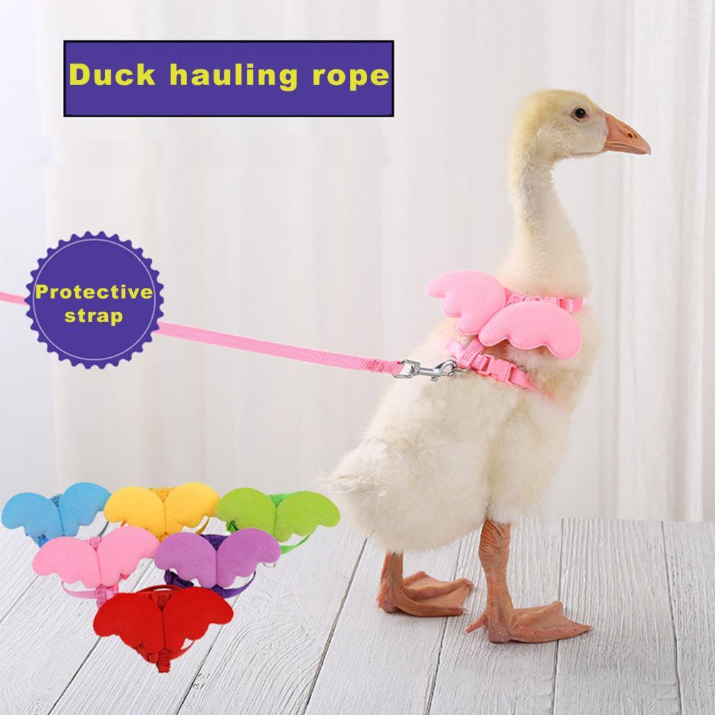 Harnais de canard à d'aile, boucle Flexible, corde longue de couleur unie, joli harnais de canard facile à porter pour Animal