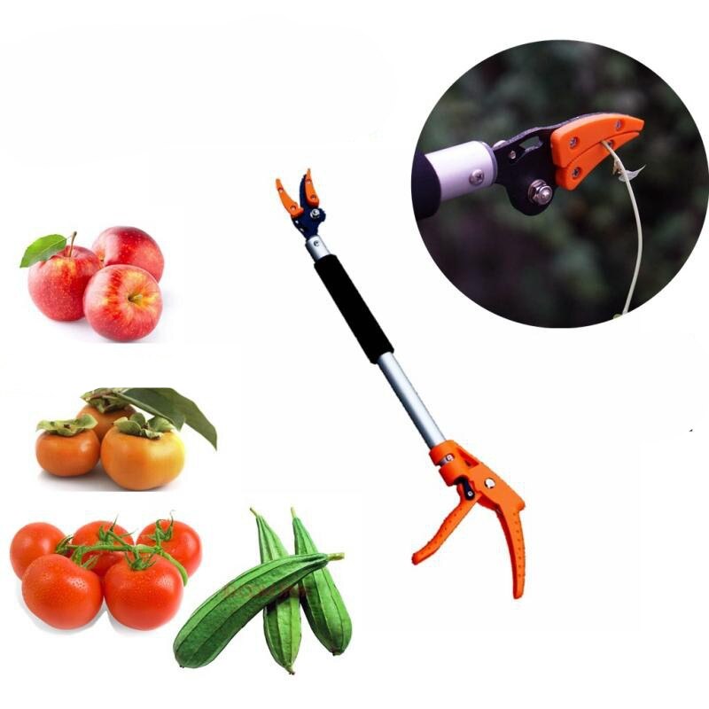 Taille-haie télescopique Extra longue de 0.6m, outil de jardinage, taille et maintien Extra-Long, coupe maximale de 1/2 pouces, cueilleur de fruits, coupe d'arbres