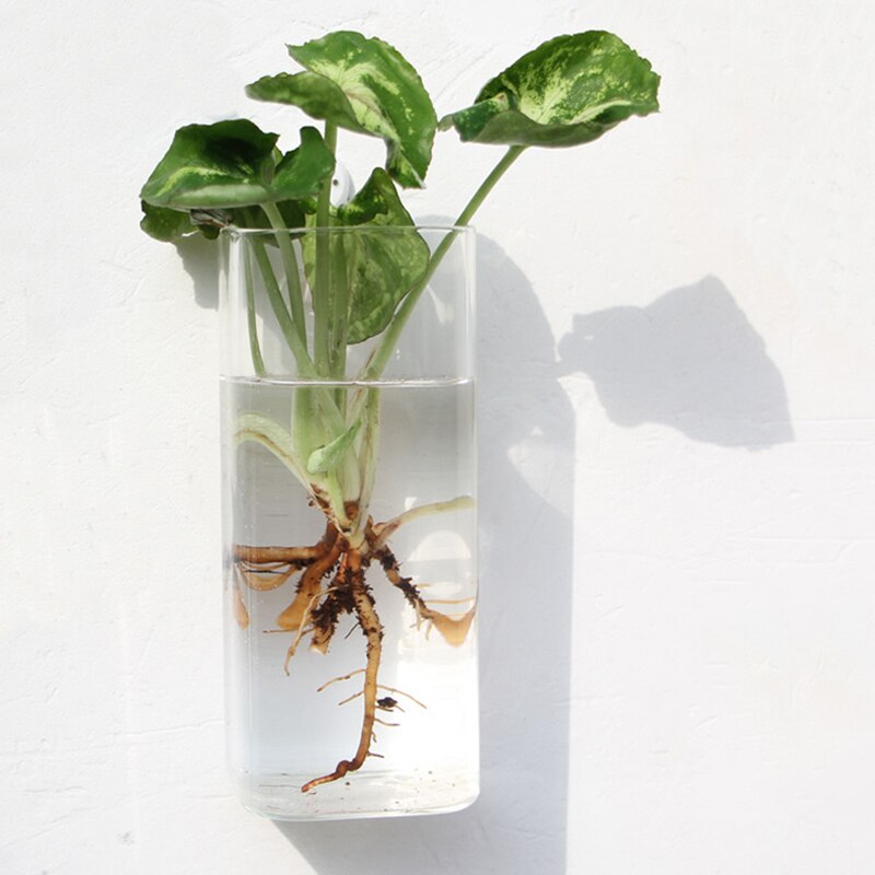 Goede Gezonde Muur Opknoping Vis Kom Glazen Wand Gemonteerde Plant Pot Aquarium Decoratie Planter: square tube