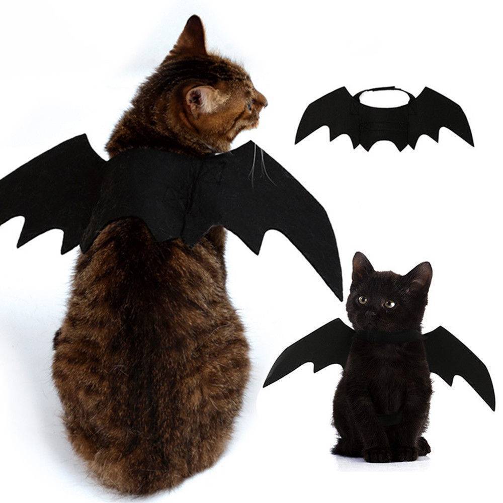 Accesorios para disfraz de Halloween, alas de murciélago y gato, vampiro, Cos, negro, disfraz de Halloween, accesorios para fotos