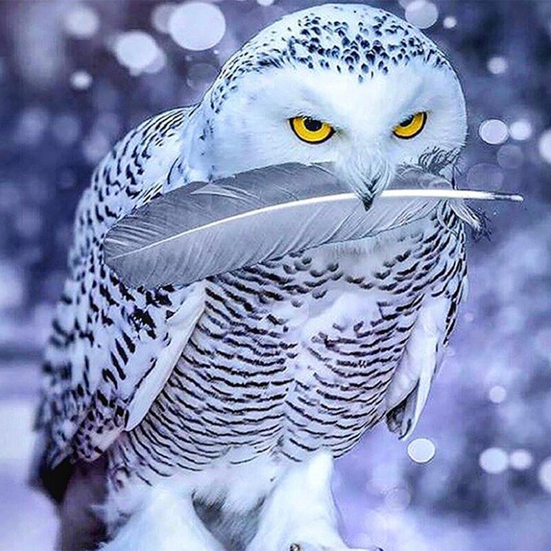 Diamant schilderij uil landschap diamant borduurwerk kruissteek gevederde uil diy decoratie schilderijen