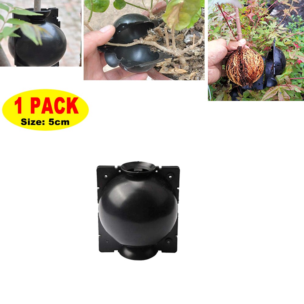 1/3/5/Pcs Plant Rooting Ball Root Grafting Growing Box Breeding Case Plant Root Device Layer Pod High Pressure Ball for Garden: 1Pcs Black