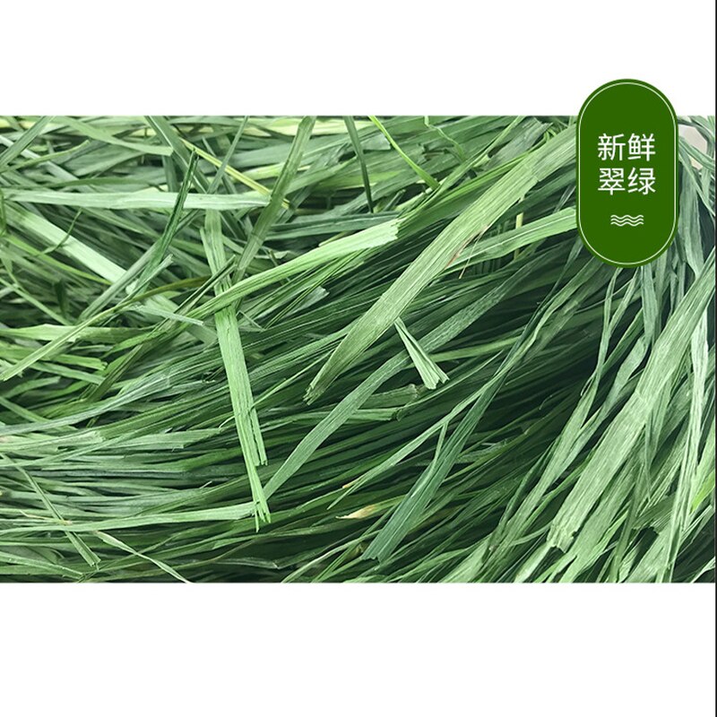Verse Gedroogde Raaigras Fcl Hooi Snacks Feed Chinchilla Cavia Voedsel Konijnen Huisdier Producten Farm Animal Levert Bunny Accessoires