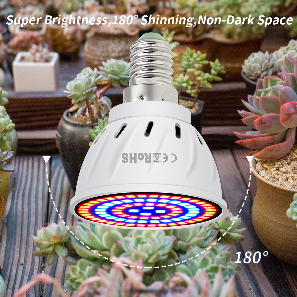 Groei Indoor Lamp E14 Led Grow Lamp E27 Plant Licht 48 60 80 Leds GU10 Volledige Spectrum Verlichting MR16 220V Led Phyto Lamp B22 240V
