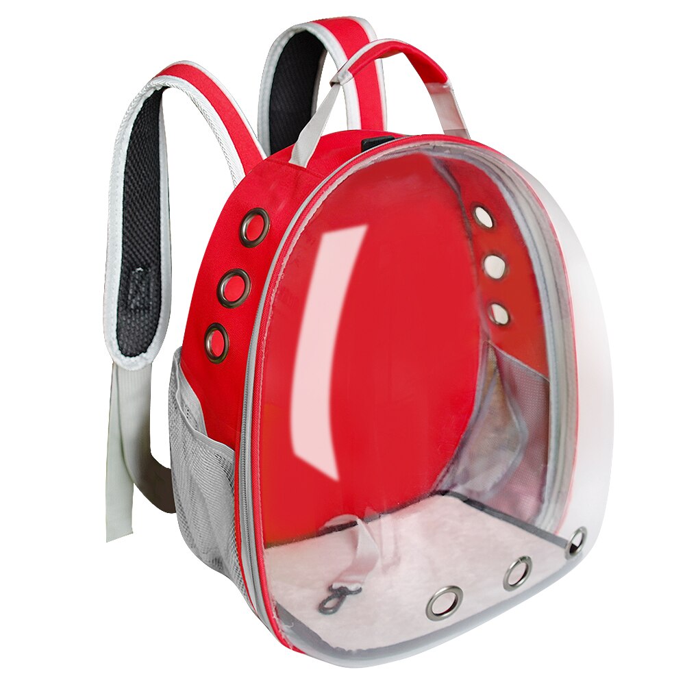 Przenośny plecak z kotem oddychający zwierzak dla małych psów plecak z kotem podróż zewnętrzna przezroczysty plecak na zwierzę: 02niebieski