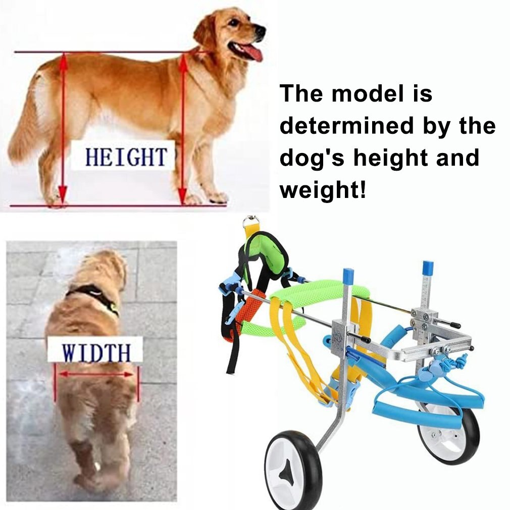 Upgrad GRÖßE Haustier Rollstuhl/Gelähmte Haustier Rollstuhl/Allgemeine Lähmung Hund Rolle/Behinderte Hund Rehabilitation Wheelchchair