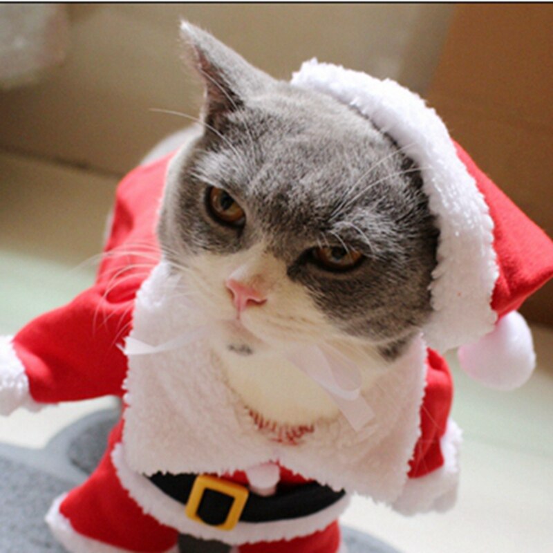 [MPK Gatto Costumi] Babbo natale del costume Del Gatto di!! carino Santa! Rosso Santa animale domestico Gatto Vestiti Vestito, Cappotto Abbigliamento, X-mas costume
