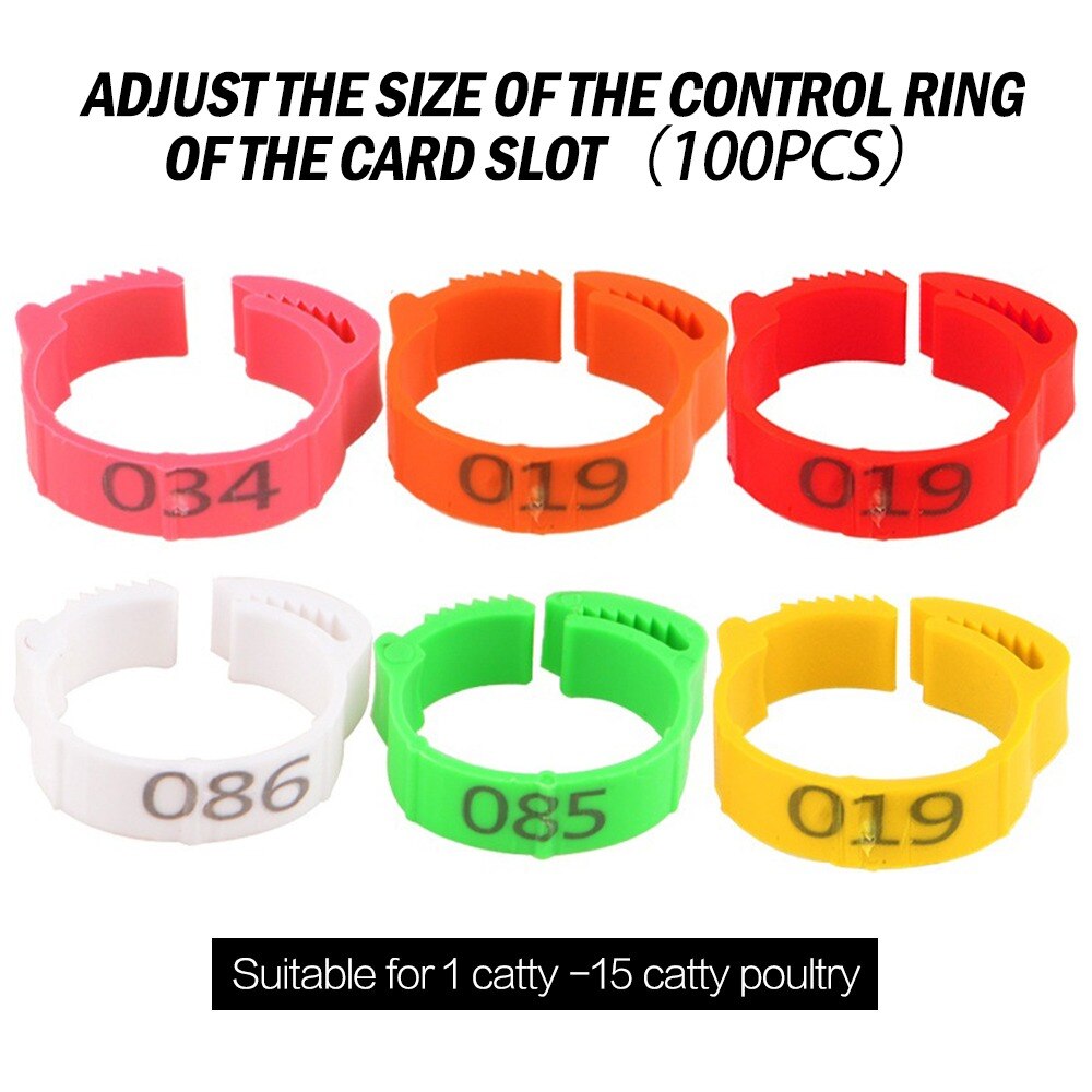 200 Uds patas de gallina anillo de tamaño ajustable aves de corral de la etiqueta Digital hebilla anillo 6 colores de plástico chica pato ganso granja equipo