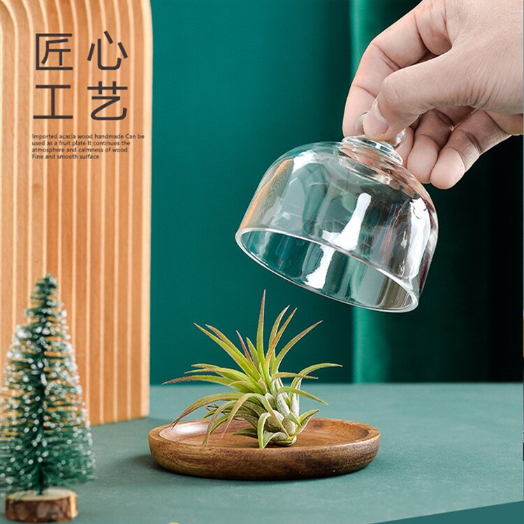 Nordic Dessert Stand Cake Stand Mini Wooden Stand Dessert Display Dessert Wooden Stand Dessert Plate Wooden Plate