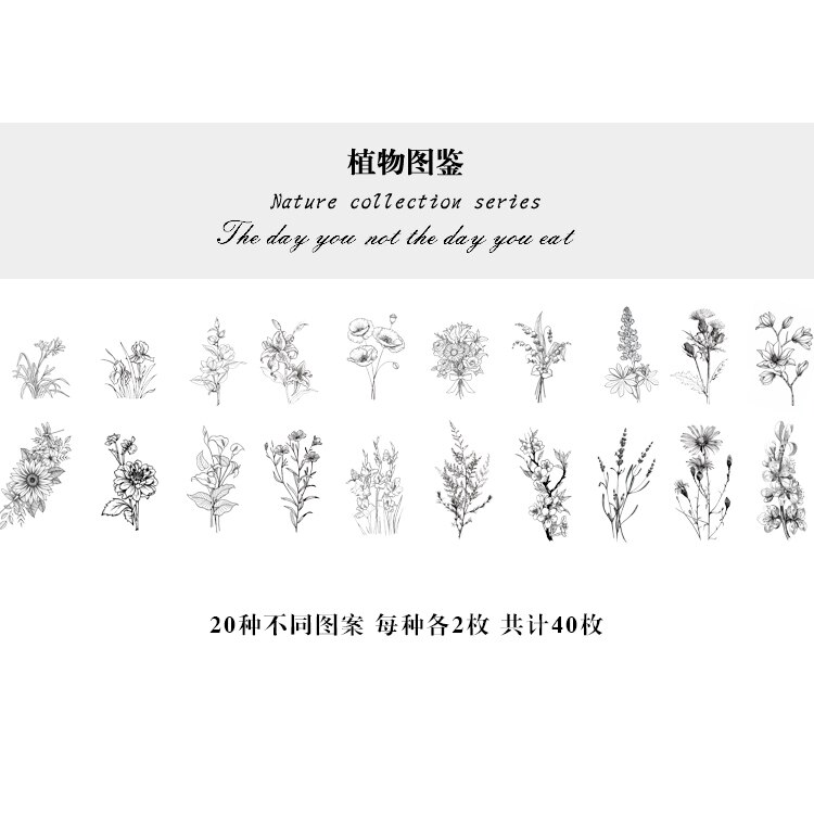 40Pcs Natuur Fotoboek Huisdier Grote Deco Stickers Plant Bloem Blad Transparante Kogel Journaling Accessoires Esthetische Stickers: F