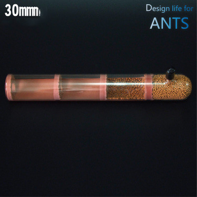 200 x 30mm bambus trækul glasrør myrer reden børn videnskab biologisk klasse abservation legetøj porcelæn sandrør myreture: Kun rør b