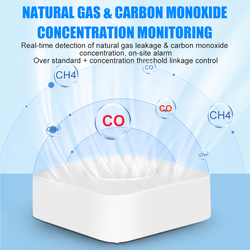 Tuya Wifi/Zigbee Koolmonoxide Sensor Gaslek Detector Huishoudelijk Gassensor Met Gprs Home Alarm Aardgas Lek Sensor