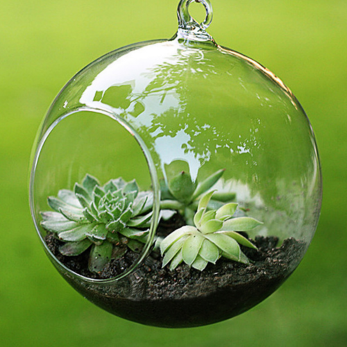 3 Size Clear Ball Bloem Opknoping Vaas Planter Terrarium Container Glas Home Decal Transparant Bloempotten Plantenbakken Mand