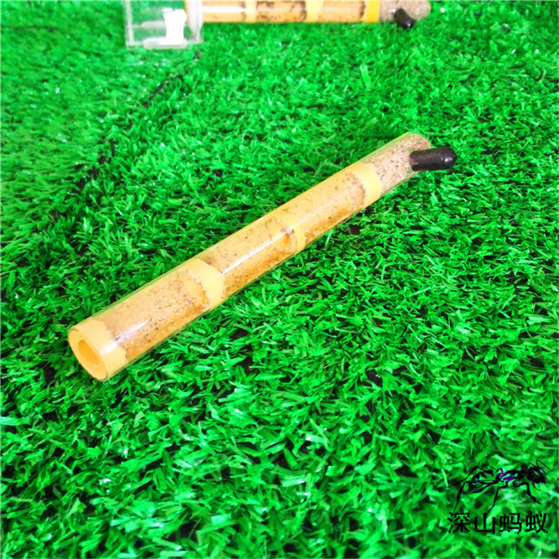 Test Tube Vocht Grote Ruimte Mier Nest, Ant Farm Acryl, Insect Mieren Villa Huis Mieren Ecologische Workshop: Ant Farm 6