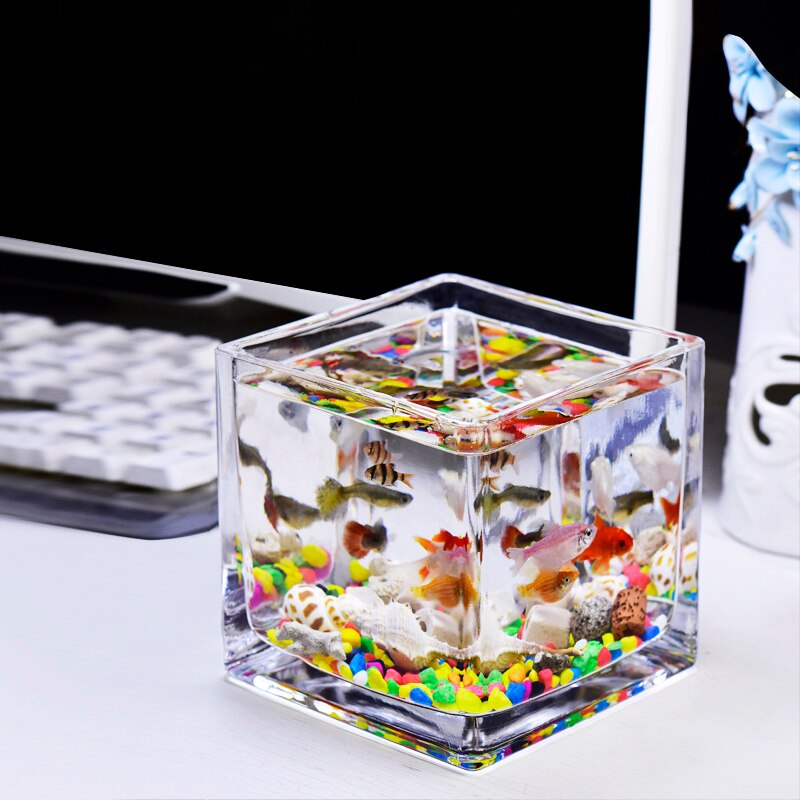 Carré Aquarium en verre Aquarium bureau Mini poisson rouge réservoir Aquarium accessoires