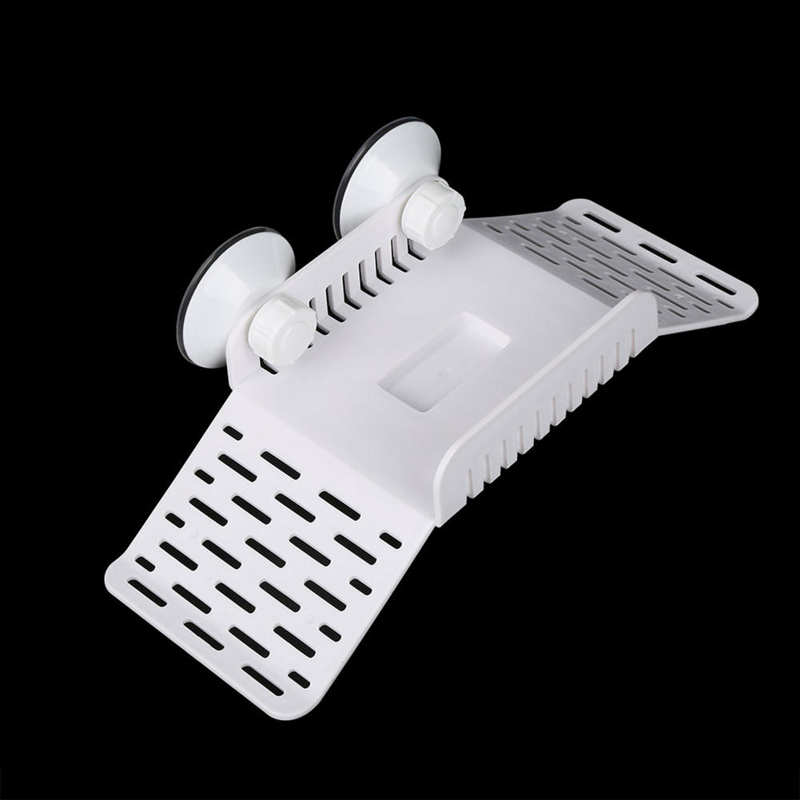 Bridge For Turtle Amphibious Reptile Drying Platform DIY Assembly with Climbing Coconut Tree Brazil Turtle Water Turtle Tortoise