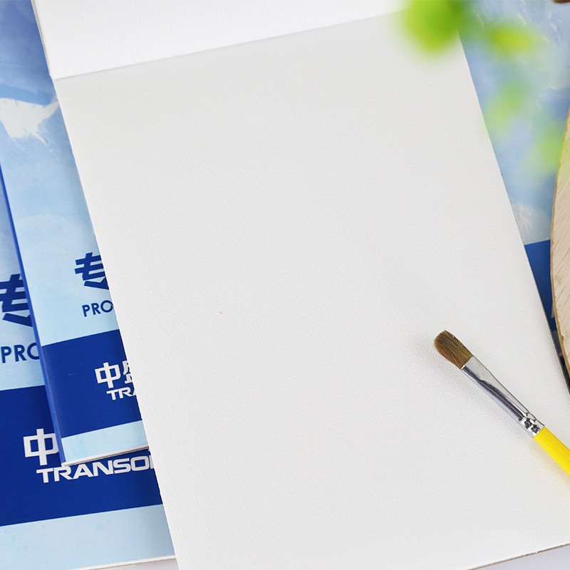 Transon Blank Canvas Book 10 Sheets 280g Cotton Fine Texture Oil Painting Canvas Pad Canvas Paper For Drawing School Supplies