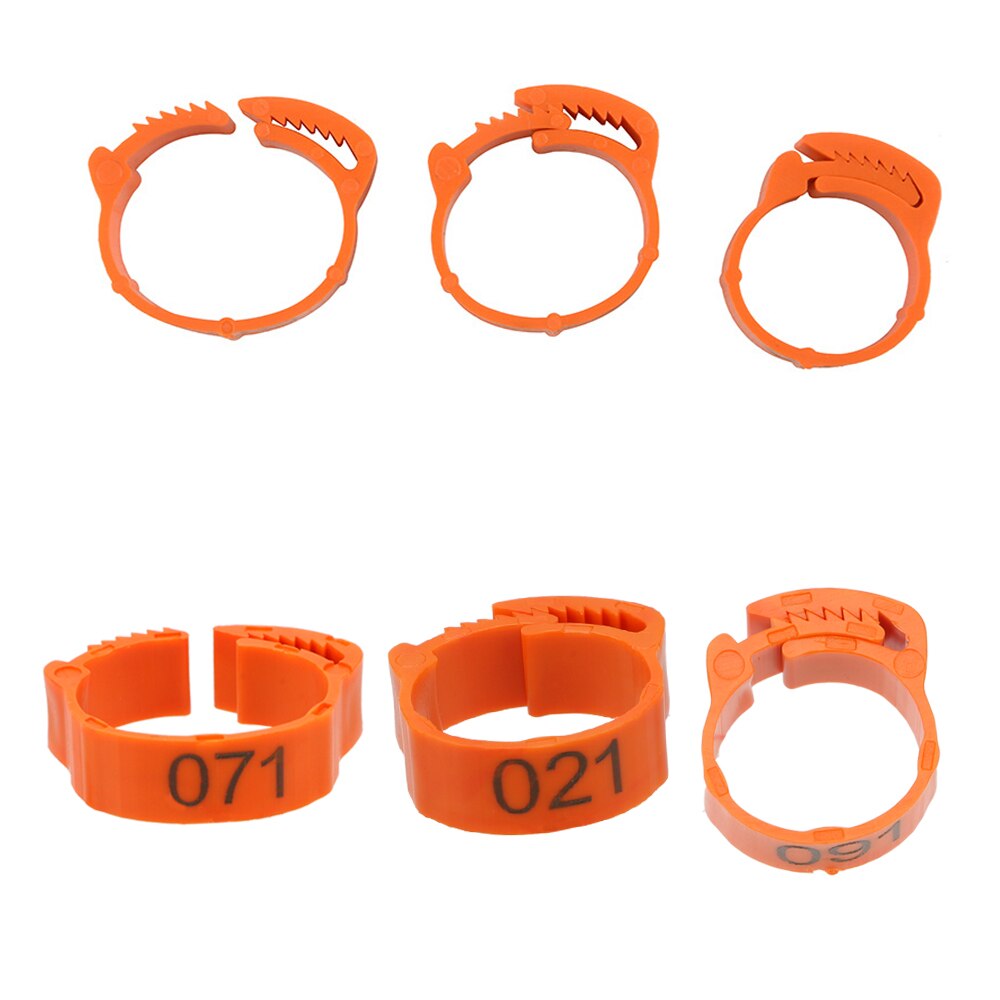 Niceyard 100 Stks/set Been Digitale Label Ring Verstelbare Gesp Voet Ring Voor Kip Eend Duif Gevogelte Boerderij Benodigdheden
