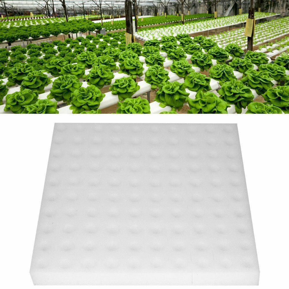Esponja hidropónica para plantar, herramienta de jardinería, esponjas de plántulas para invernadero, sistema vegetal sin suelo, 1 pieza