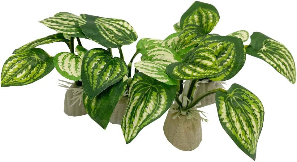 Ornamentos de aquário, plantas de simulação, decoração de paisagismo, tanque de peixes, plantas de água de plástico, flores, árvores, rochas, acessórios: green