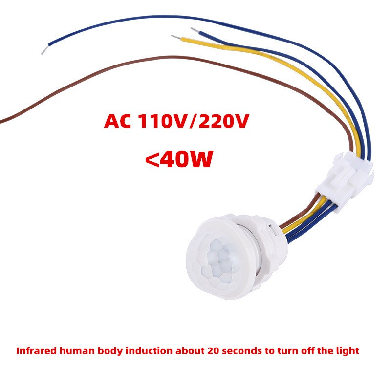 110V220V Led Lichaam Sensor Schakelaar Ac Led Plafond Lamp. Downlight Infrarood 40W Lamp Inductieve Schakelaar