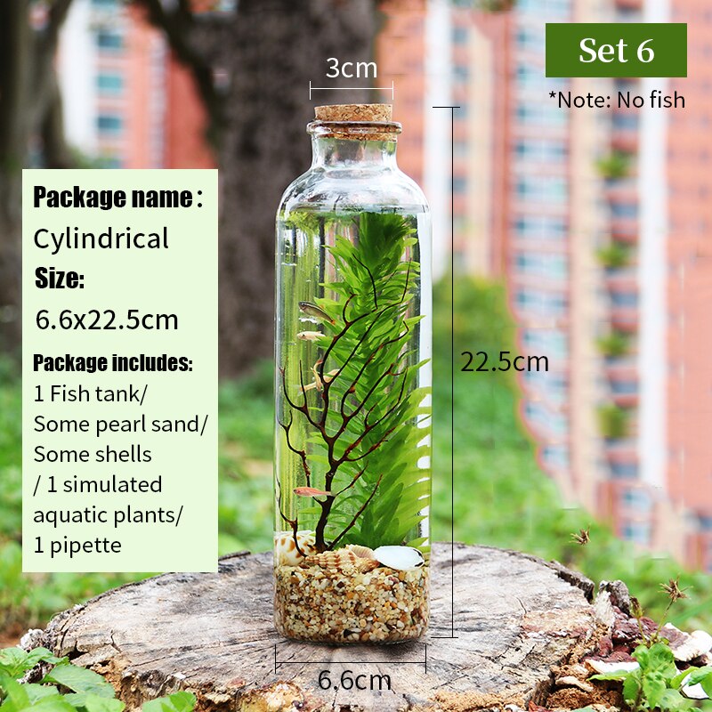 Aquarium Small Fish Tank Micro-view Viewing Aquarium Landscaping Fighting Fish Tank Glass Ecological Bottle Aquarium Accessories: Set6