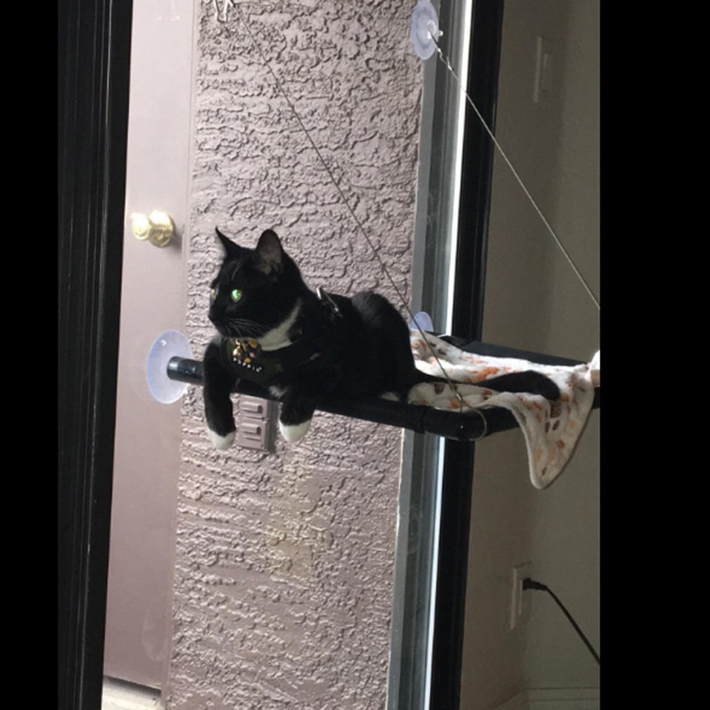 Ventouse mignon animal de compagnie suspendus lits portant chat ensoleillé siège fenêtre montage pour animaux de compagnie chat hamac confortable chat lit pour animaux de compagnie