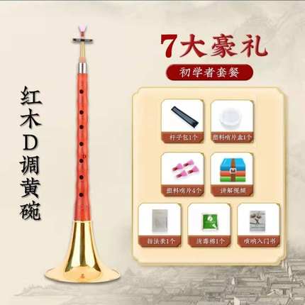 Chinese suona traditional musical instrument surna horn trumpet for beginner 1pc: D key yellow