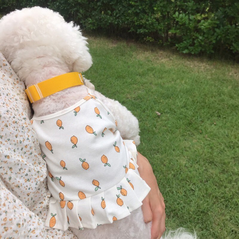 Summer Dog Clothes 2 Styles Orange Print Pet Dog Dresses Vests for Small Dogs Chihuahua Puppy Clothes Life Vest Suit for Cat