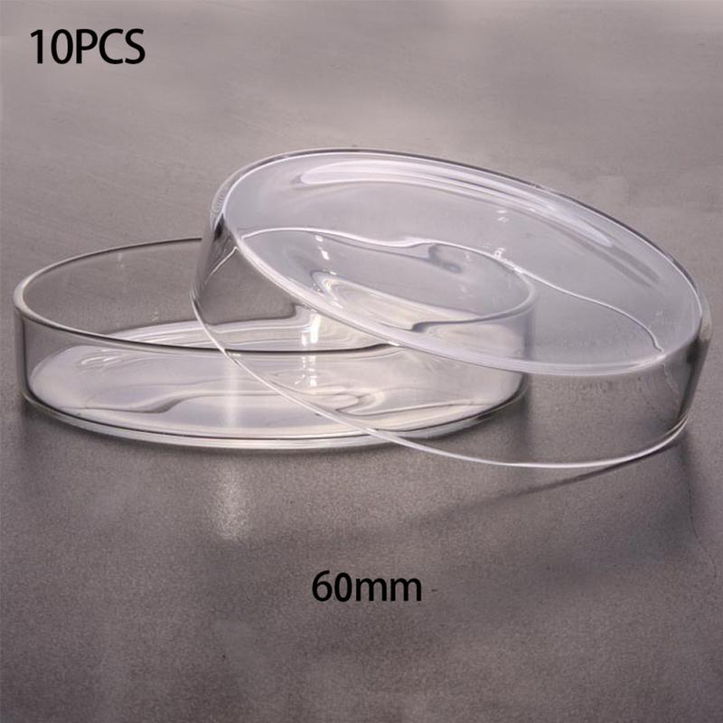 Placas de Petri estériles para laboratorio, instrumentos químicos de , crujientes y frágiles, suministro de laboratorio de levadura transparente, 10 Uds.: 60mm 10 Sets