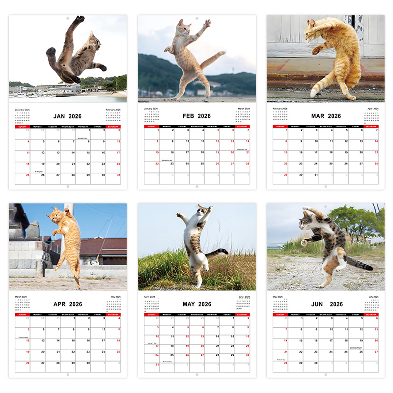 Kung fu-kattekalender,  - 12 morsomme kattebilder, høyt papir, livlige daglige bilder, perfekt for innredning hjemme eller på kontoret.