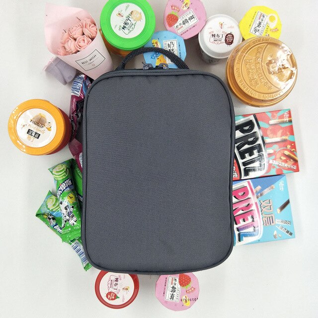 Swiss classic brand waterproof lunch bag Oxford travel essential picnic clutch unisex insulated lunch box: Graphite gray