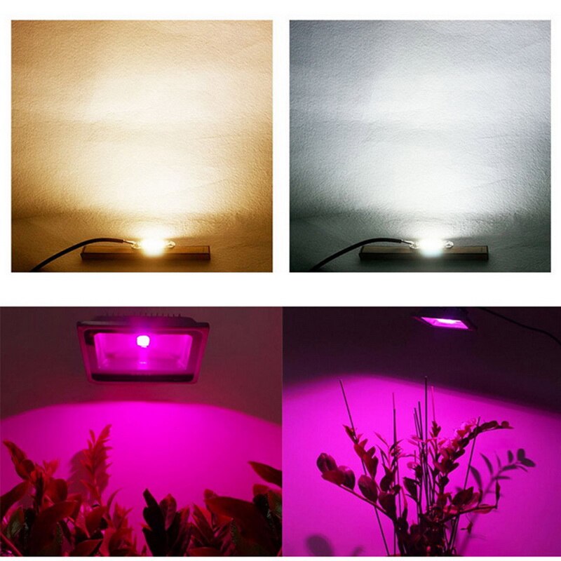 Led vokse cob chip phyto lampe fuldt spektrum  ac220v 10w 20w 30w 50w til indendørs plante kimplanter vokse og blomster vækst fitolamp  #4